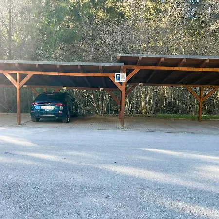 Dream No.202 - Right In The Heart Of