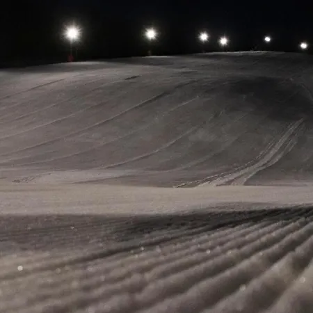 Dream No.202 - Right In The Heart Of *