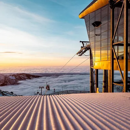 Dream No.202 - Right In The Heart Of Apartment *